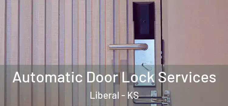 Automatic Door Lock Services Liberal - KS