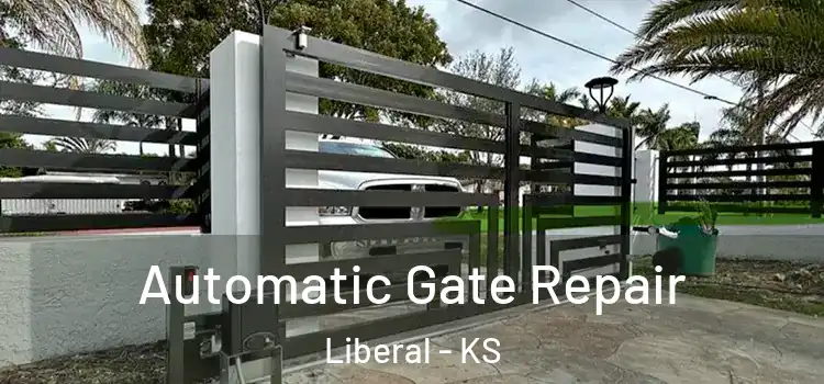 Automatic Gate Repair Liberal - KS