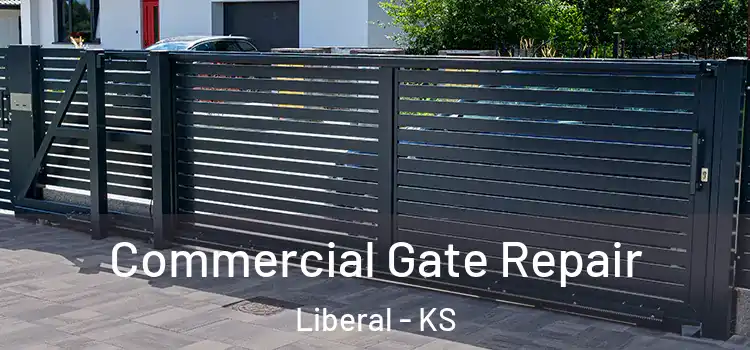 Commercial Gate Repair Liberal - KS