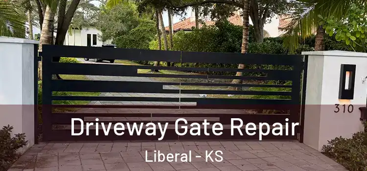 Driveway Gate Repair Liberal - KS