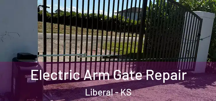Electric Arm Gate Repair Liberal - KS
