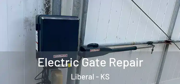 Electric Gate Repair Liberal - KS