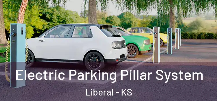 Electric Parking Pillar System Liberal - KS