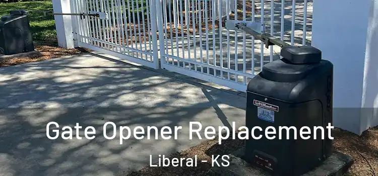 Gate Opener Replacement Liberal - KS