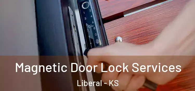 Magnetic Door Lock Services Liberal - KS