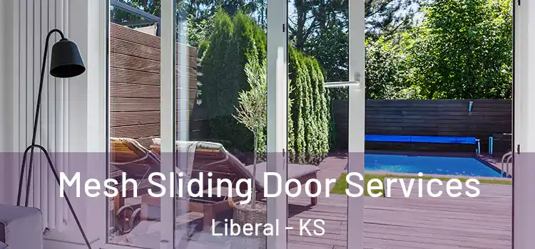 Mesh Sliding Door Services Liberal - KS