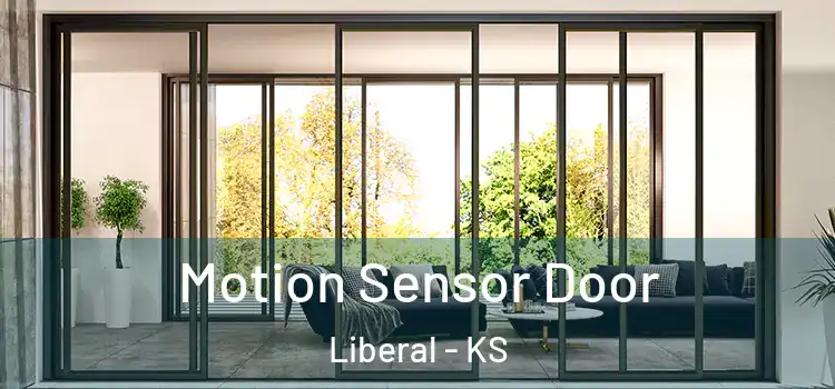 Motion Sensor Door Liberal - KS