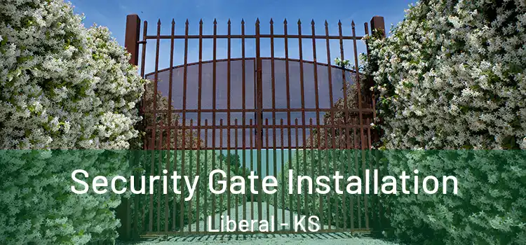Security Gate Installation Liberal - KS